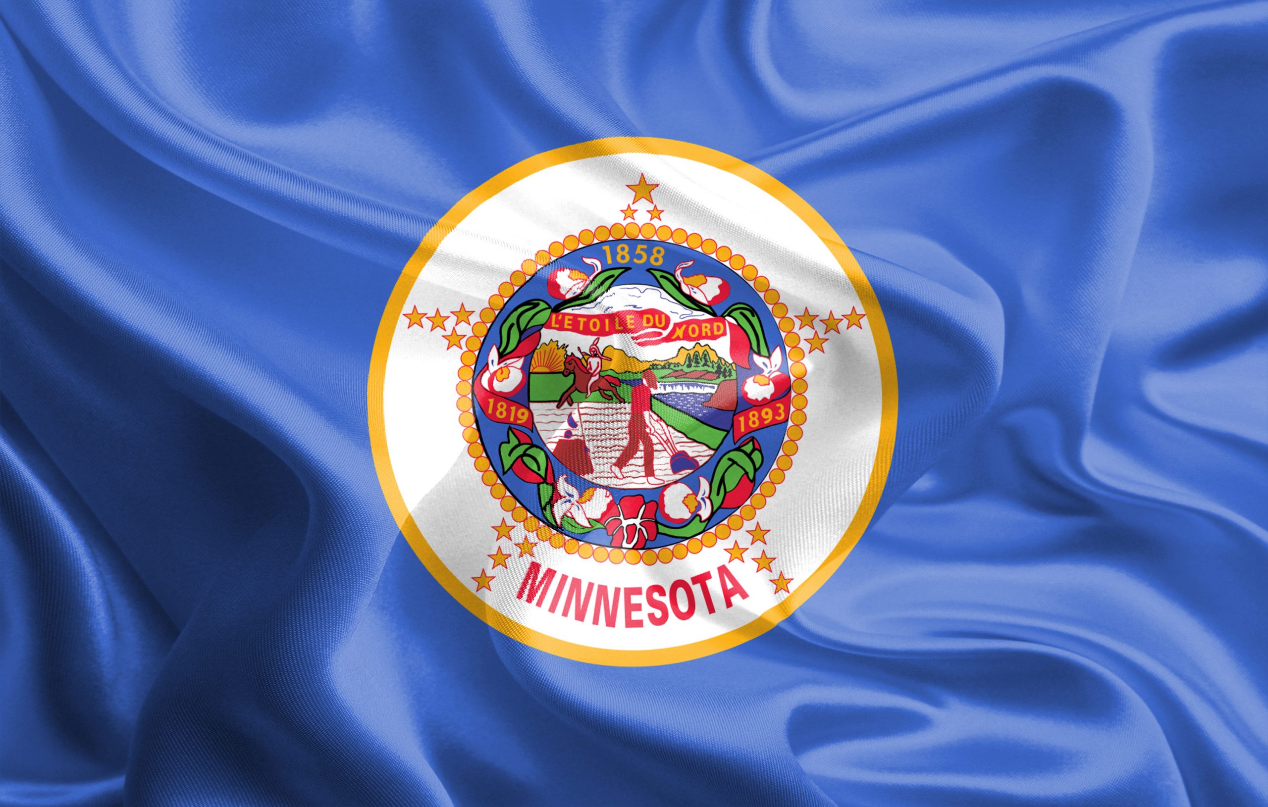 Minnesota Flag