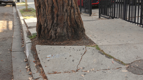 Sidewalk Defects