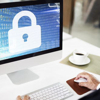 Person Using Secure Computer