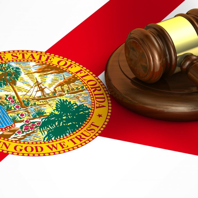 Gavel on Florida Flag