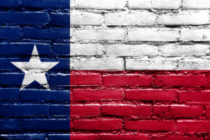 Texas State Flag