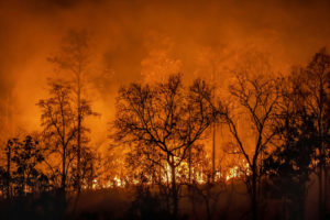 California Wildfire